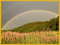 Les Estables - Regenboog